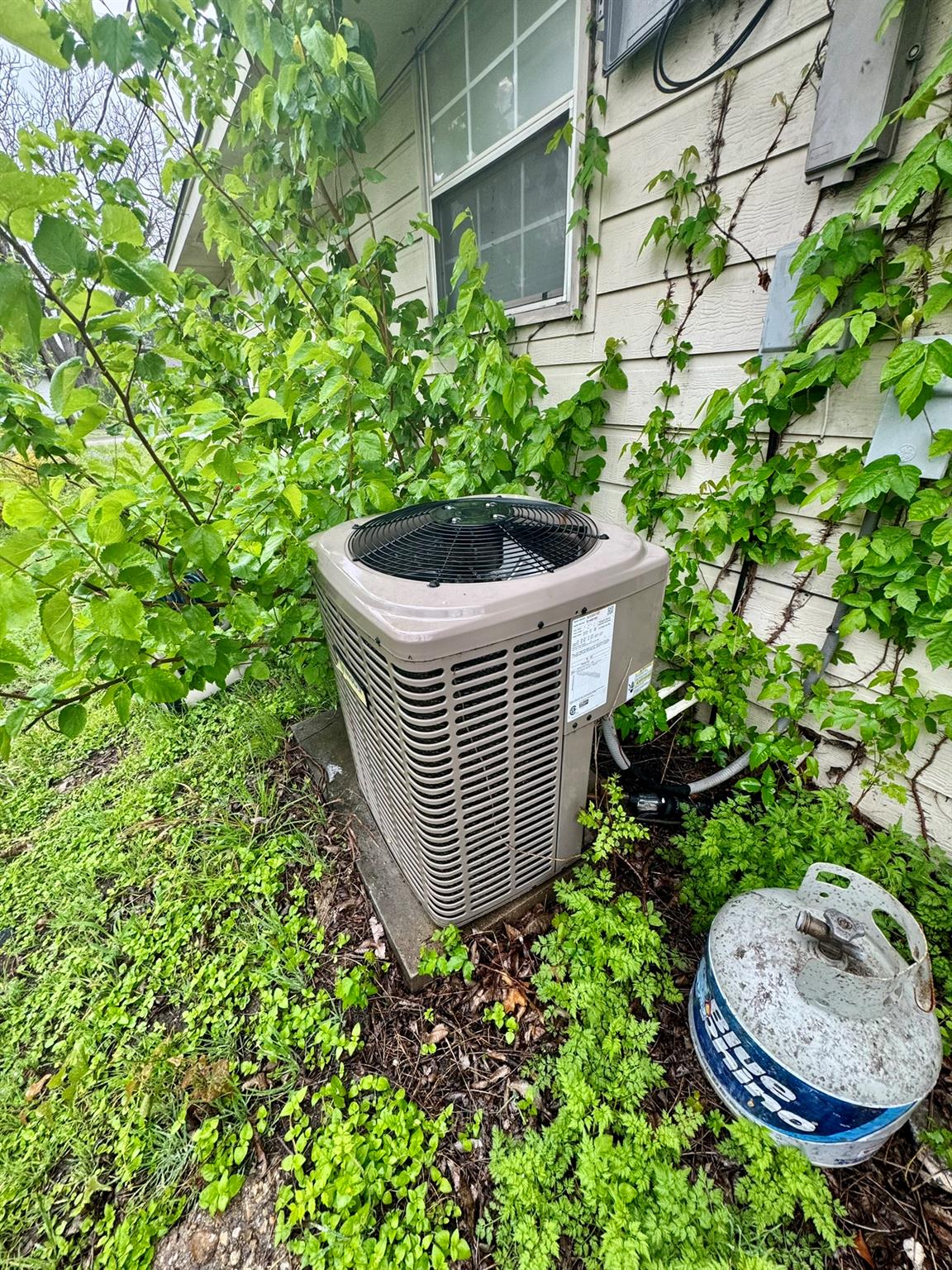 9 S 19th St, photo 8