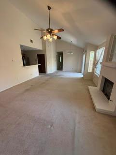 11716  Norwegian Wood Dr, photo 7