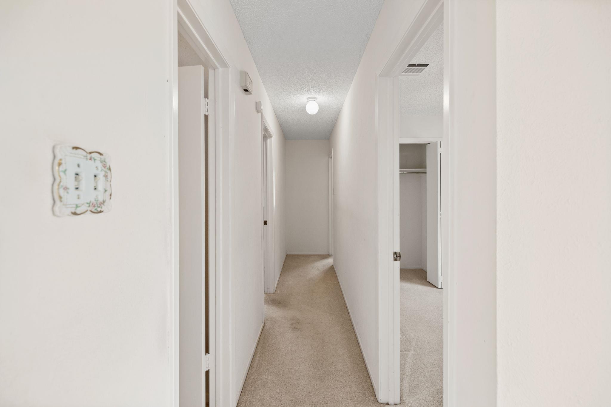 11716  Norwegian Wood Dr, photo 10
