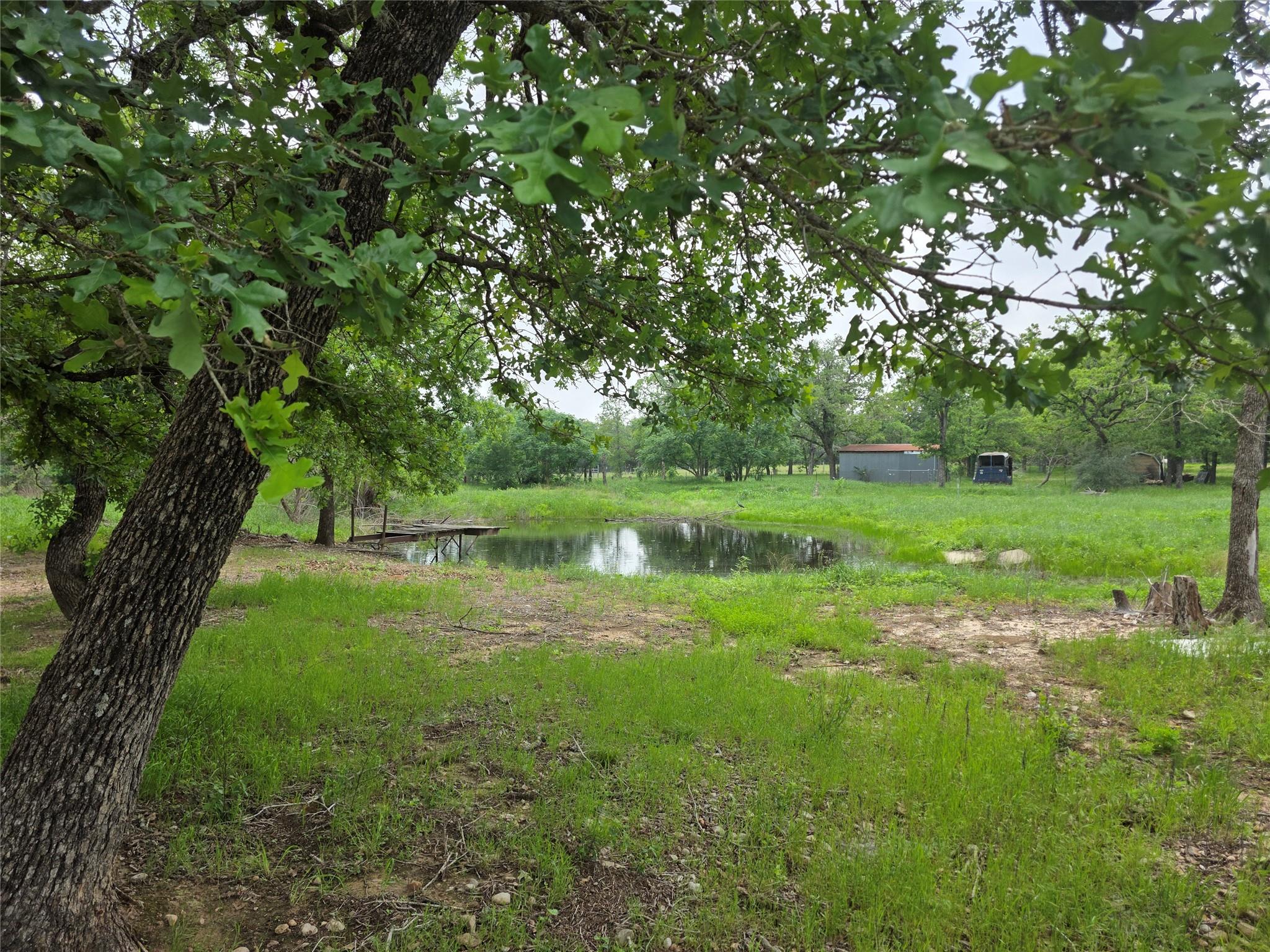 376  Jones Rd, photo 7