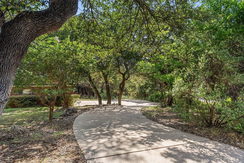 17042  Trail of the Woods None, photo 5