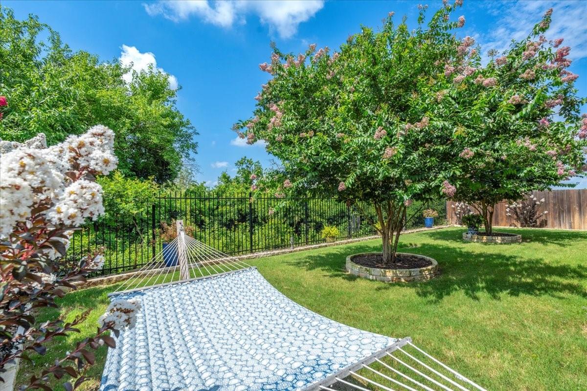 416  Mistflower Springs Dr, photo 10