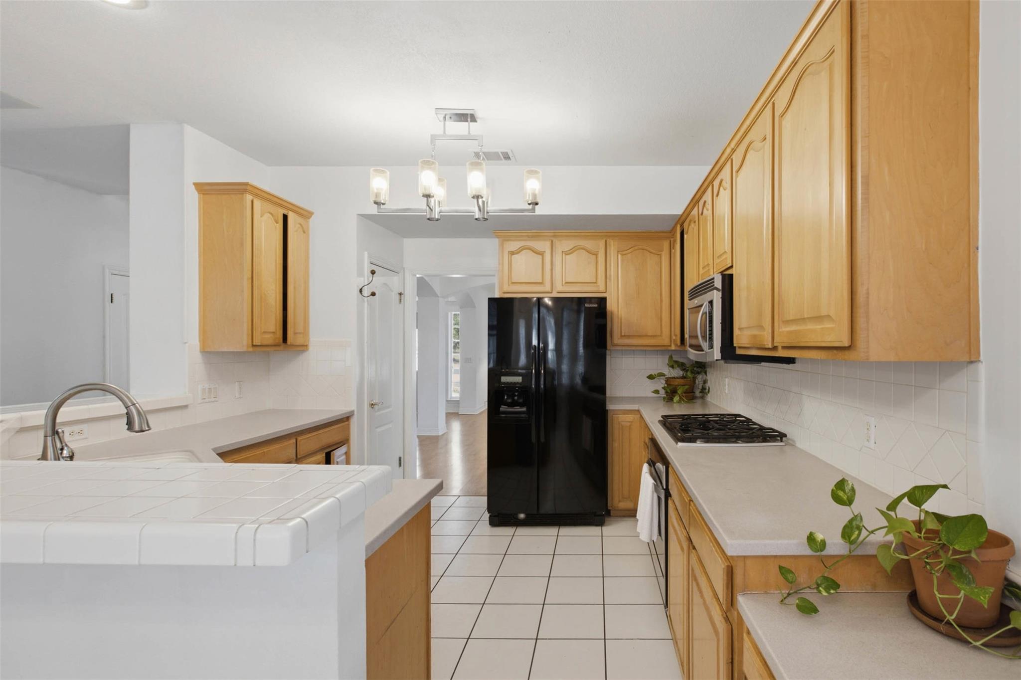 11309  Pachea Trl, photo 11