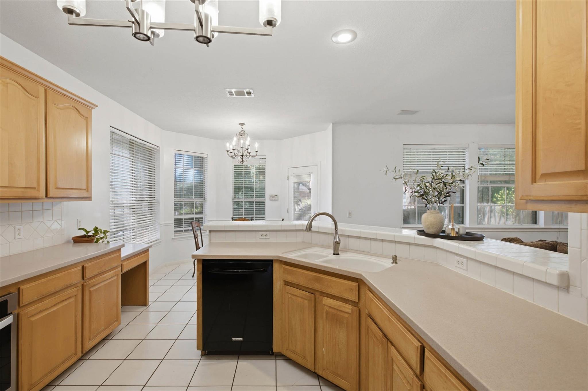 11309  Pachea Trl, photo 10