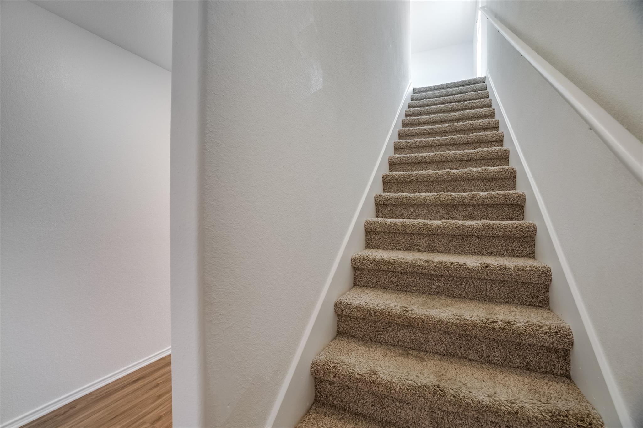 428  Gabbro Gdns, photo 12