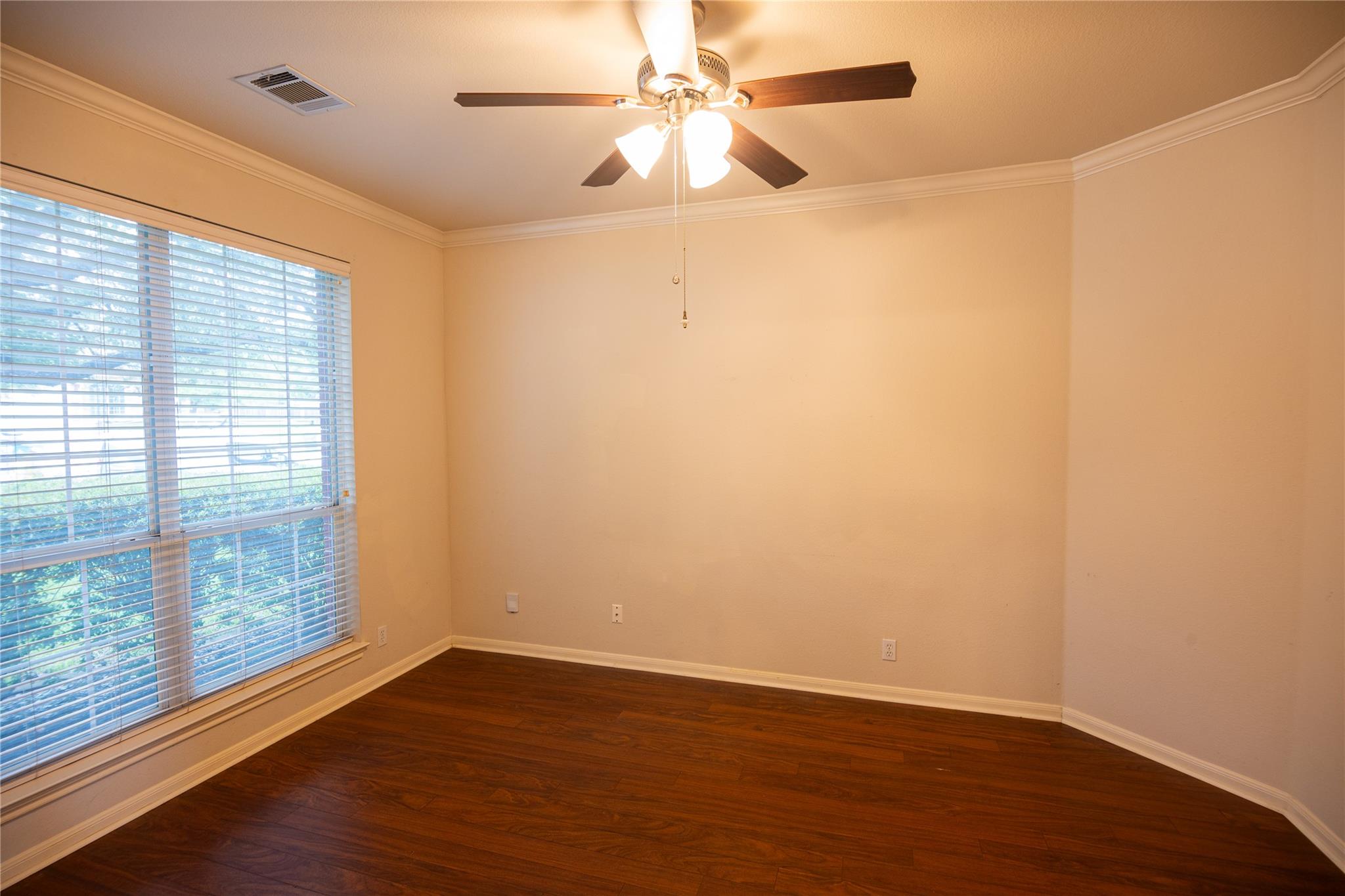 1105  Clemson Cv, photo 5