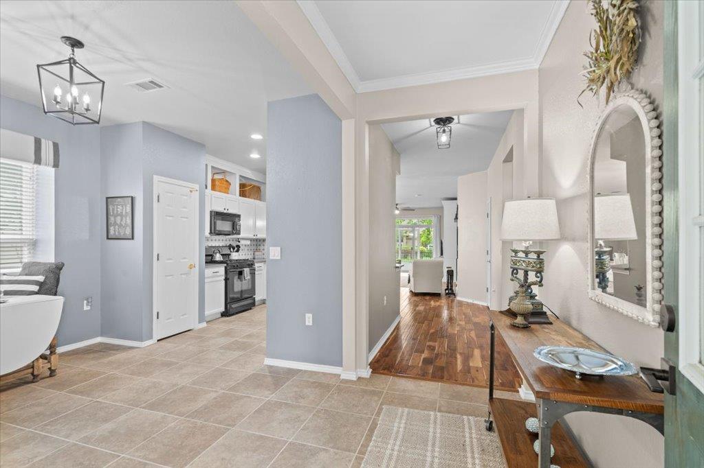113  Honey Creek Trl, photo 4