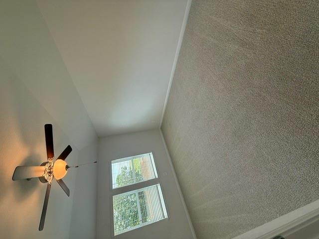 140  Woodbrook Dr, photo 7
