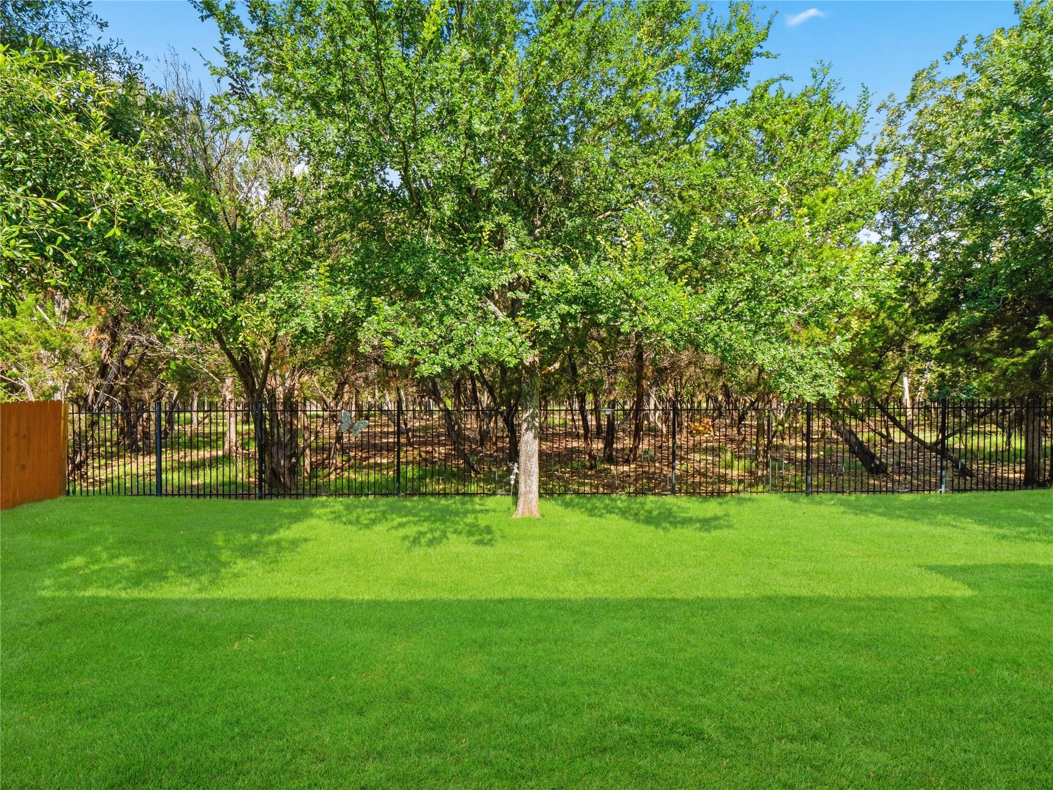 3869  Skyview Way, photo 4