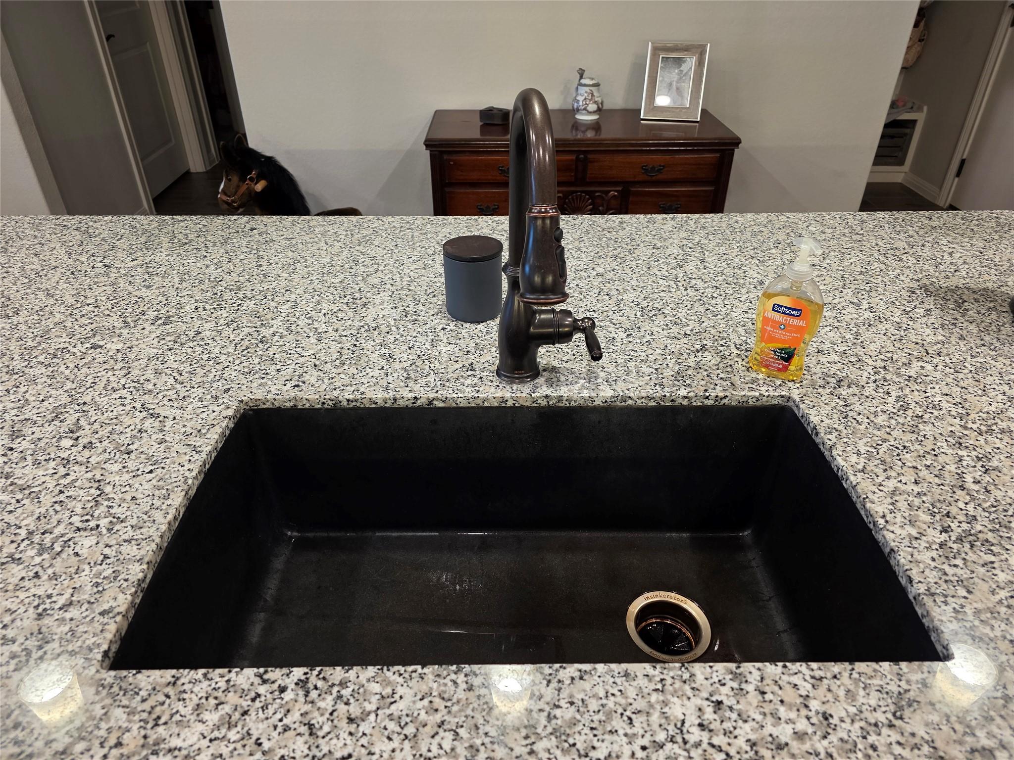 461  Grace Lilly Dr, photo 6
