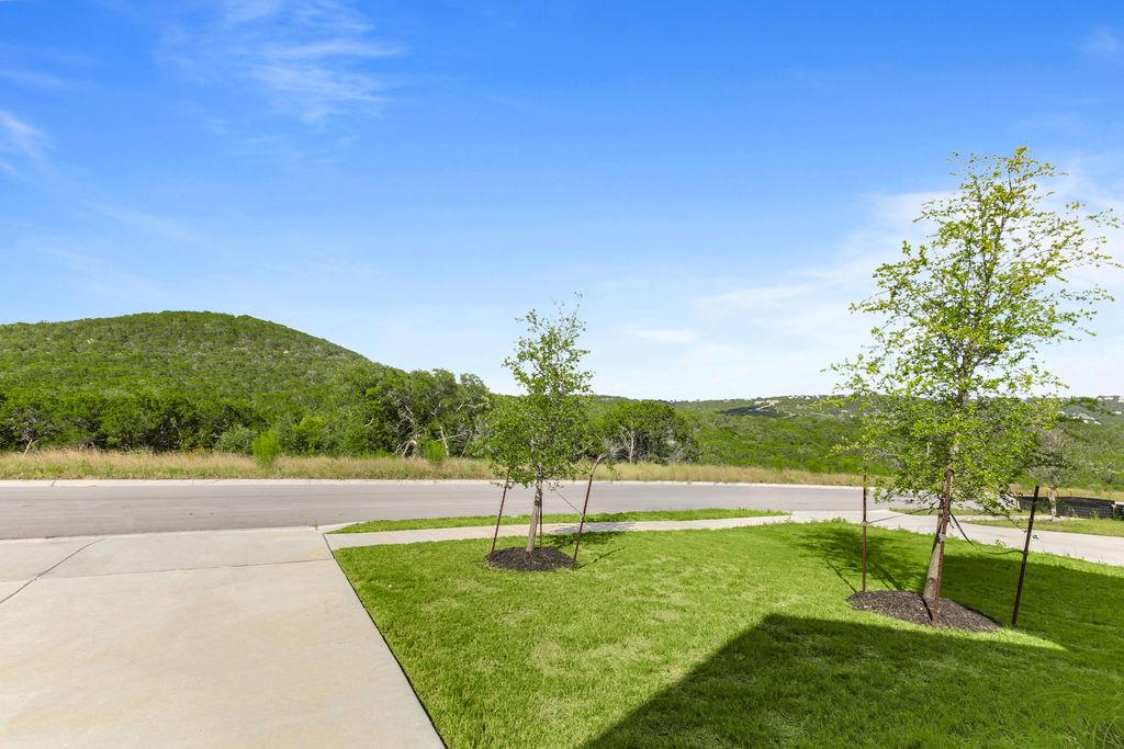 8521  Pine Muhly Dr, photo 5