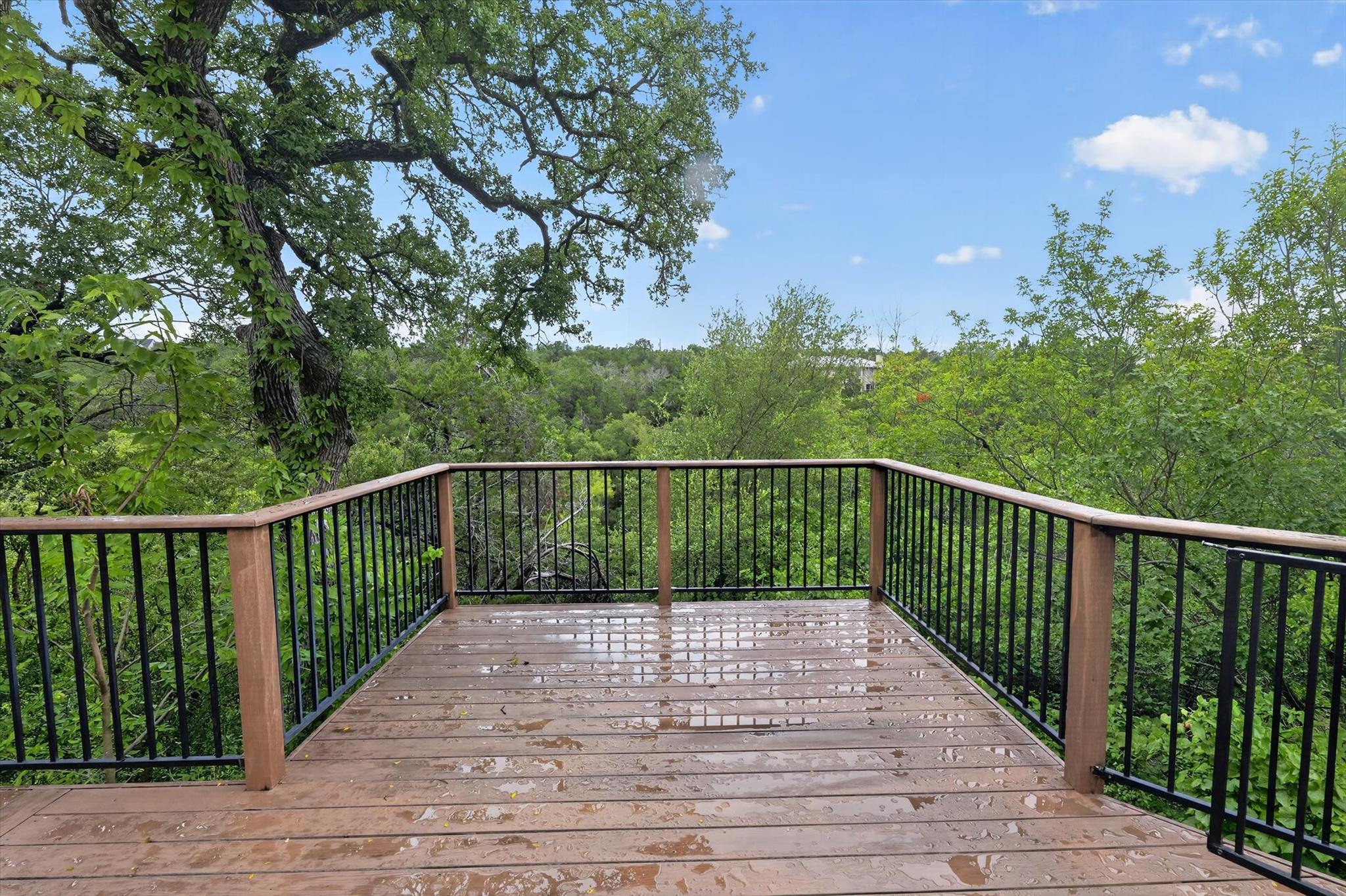12421  Painted Bunting Dr, photo 2