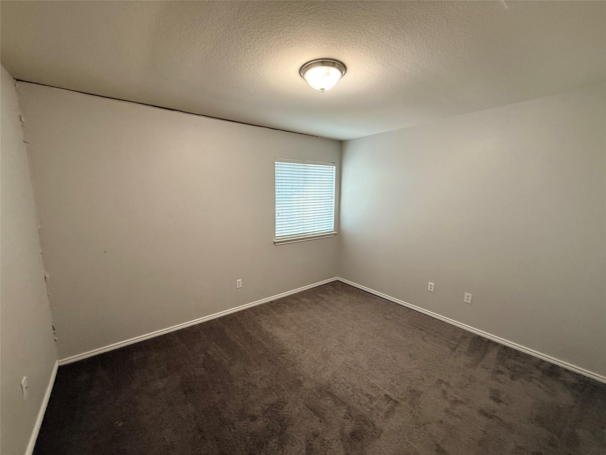259  Clarence Ct, photo 6