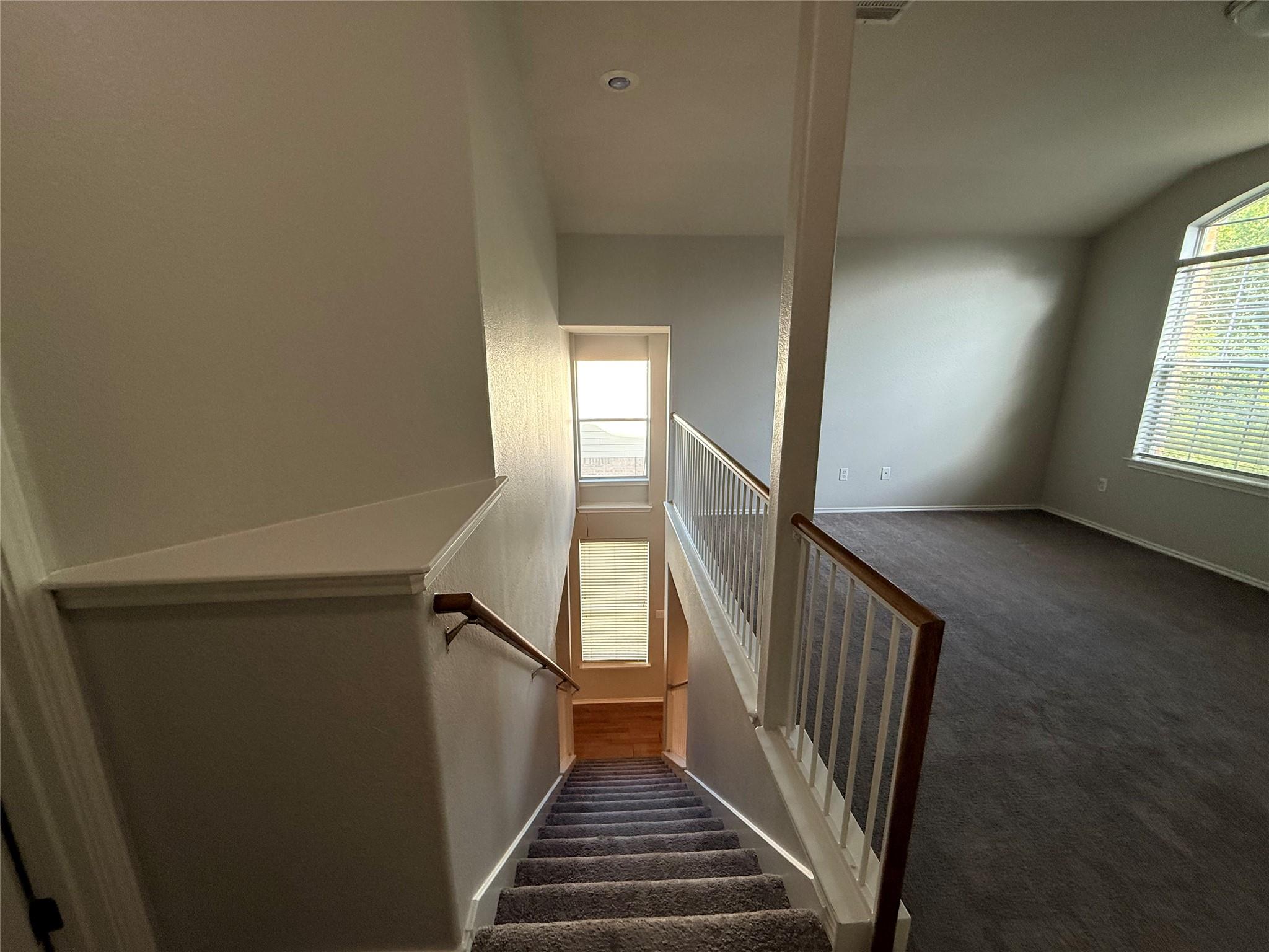 259  Clarence Ct, photo 10