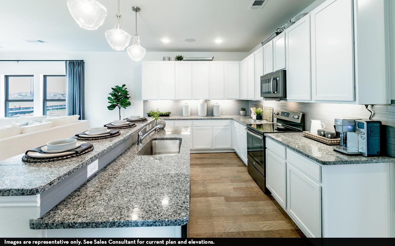 341  Begonia St, photo 6