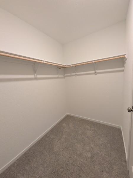 160 Star Packer Ln photo 9