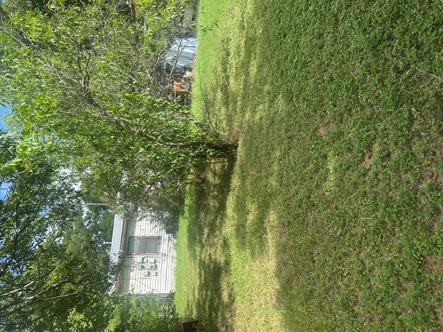 1127  Mark St  #D, photo 4