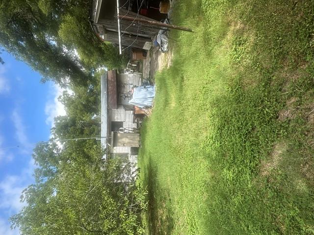 1127  Mark St  #D, photo 5