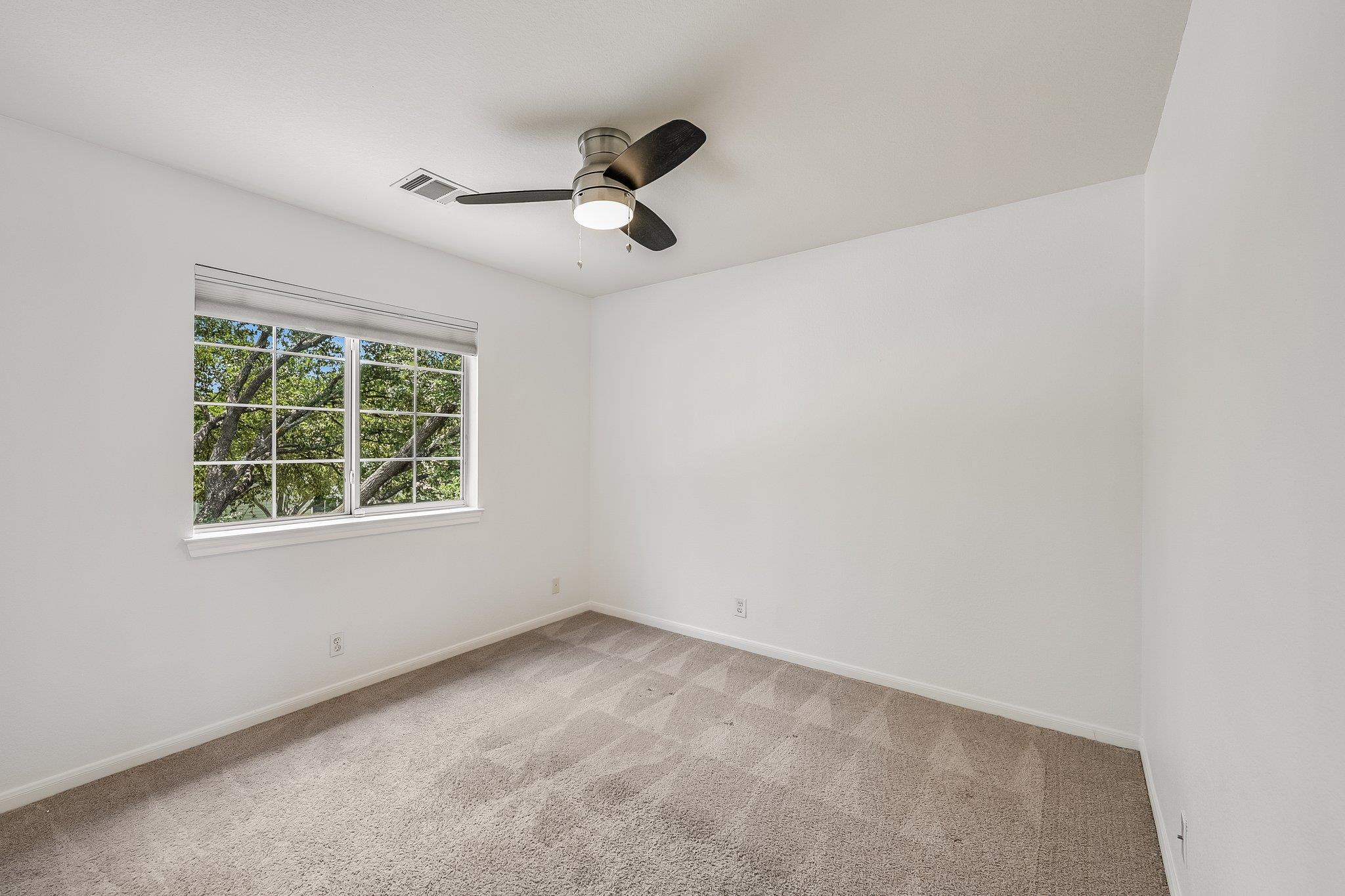 537  Roseberry St, photo 10