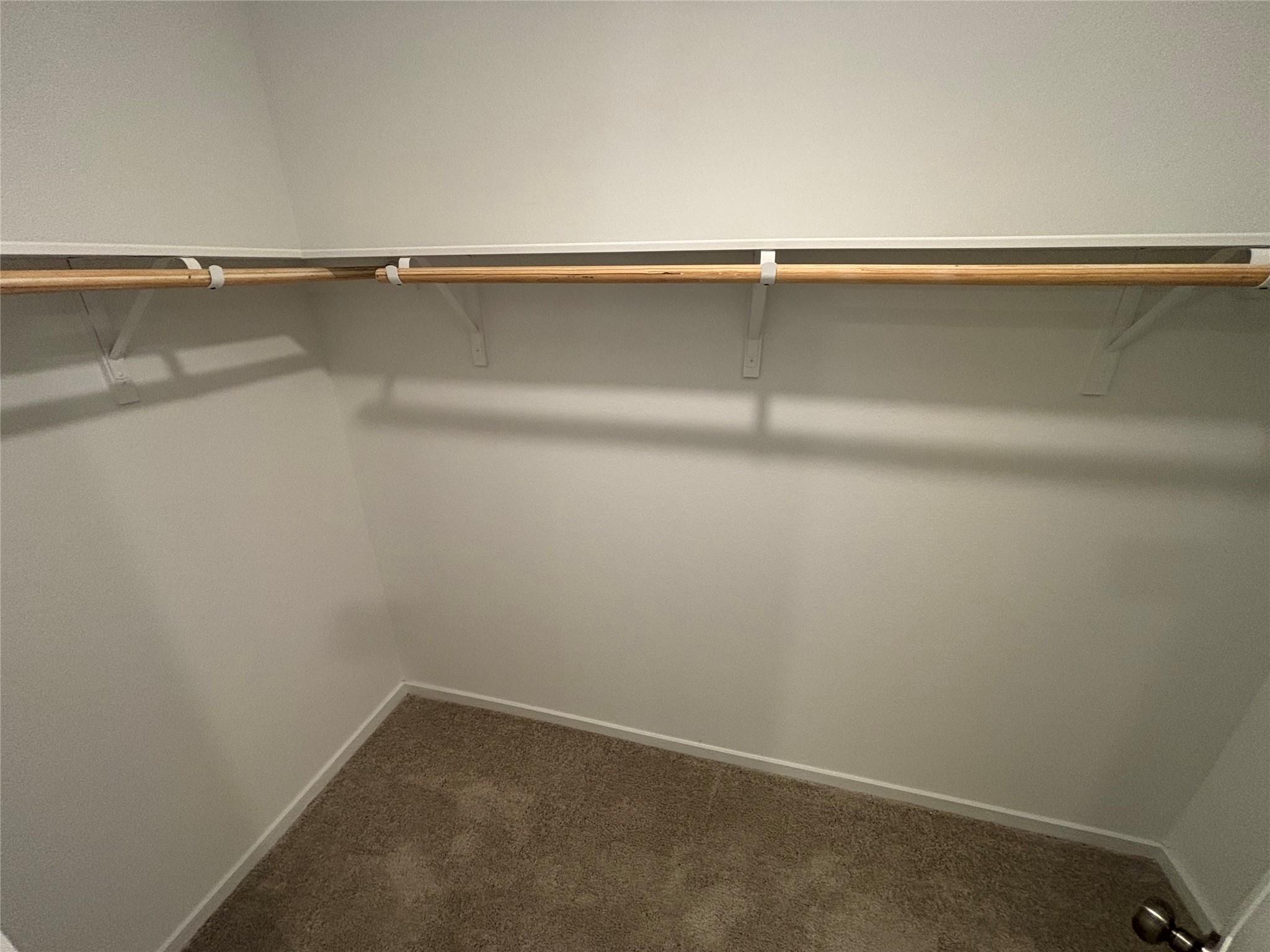 137  Spotbill Ct, photo 8