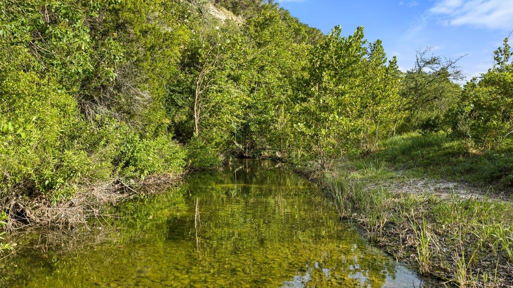 4605  Wild Cow Cv, photo 3
