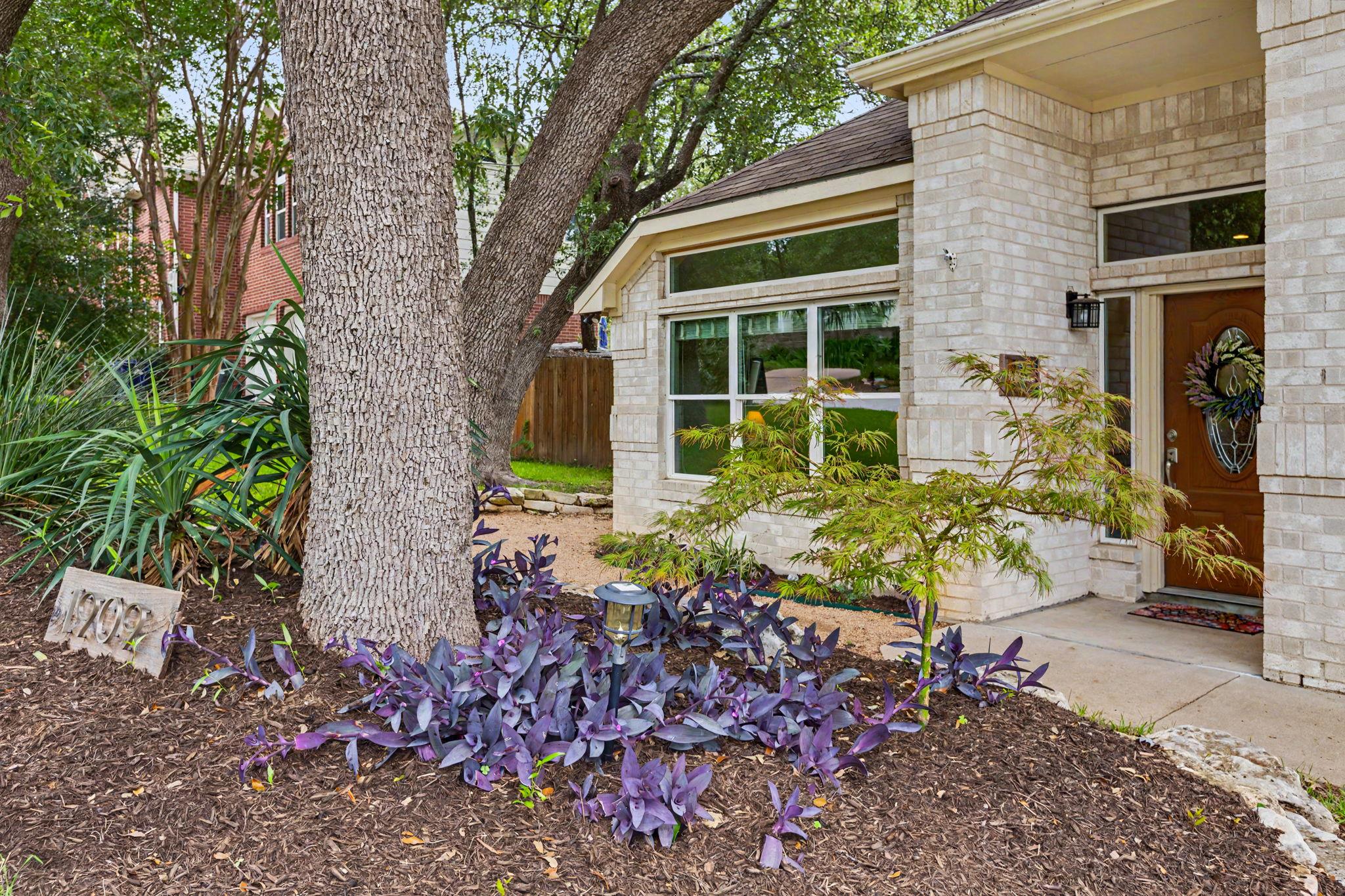 1909  Holly Hill Dr, photo 5