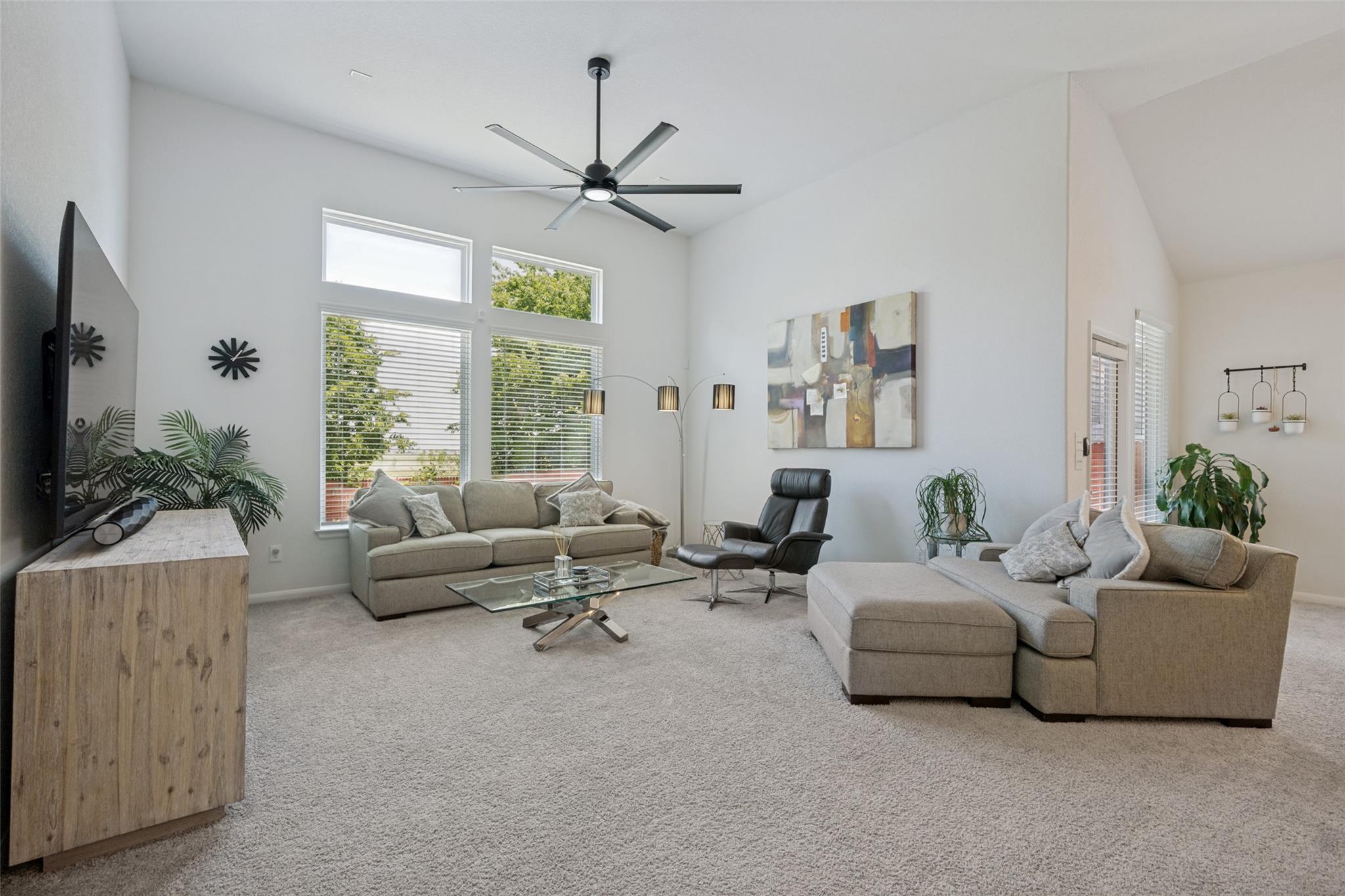 6136  Teodoro Bnd, photo 7