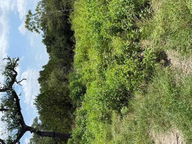 25402  Fawn Dr, photo 2
