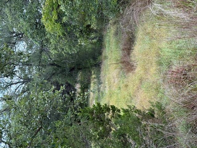 25402  Fawn Dr, photo 3