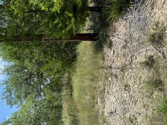 25402  Fawn Dr, photo 4