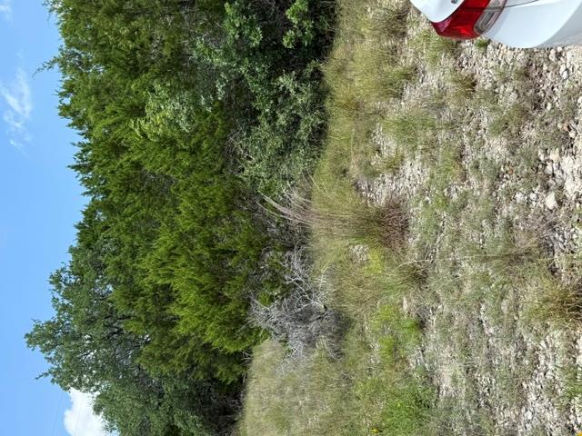 25402  Fawn Dr, photo 6