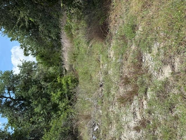 25402  Fawn Dr, photo 7