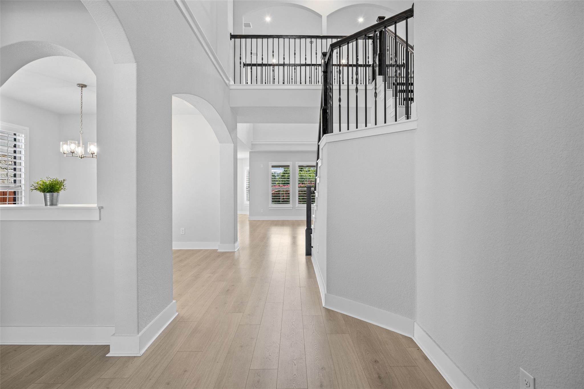 2323  Cantata Cv, photo 8