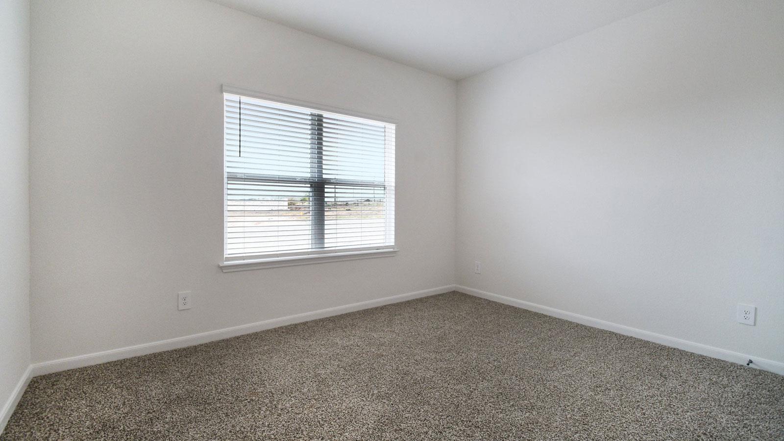 14904 Frog Pond Cv photo 12