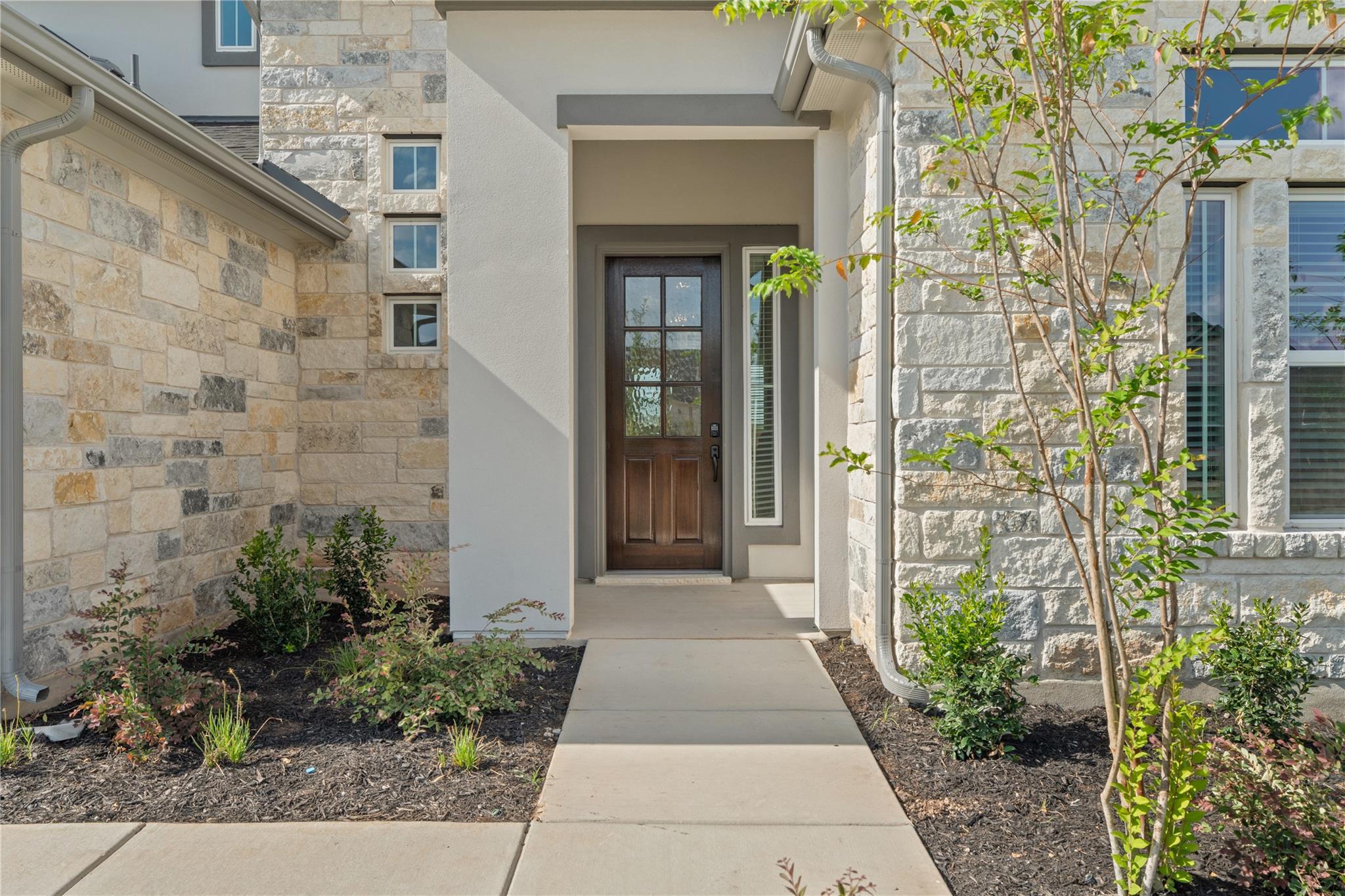 2116  Tobiano Trce, photo 3