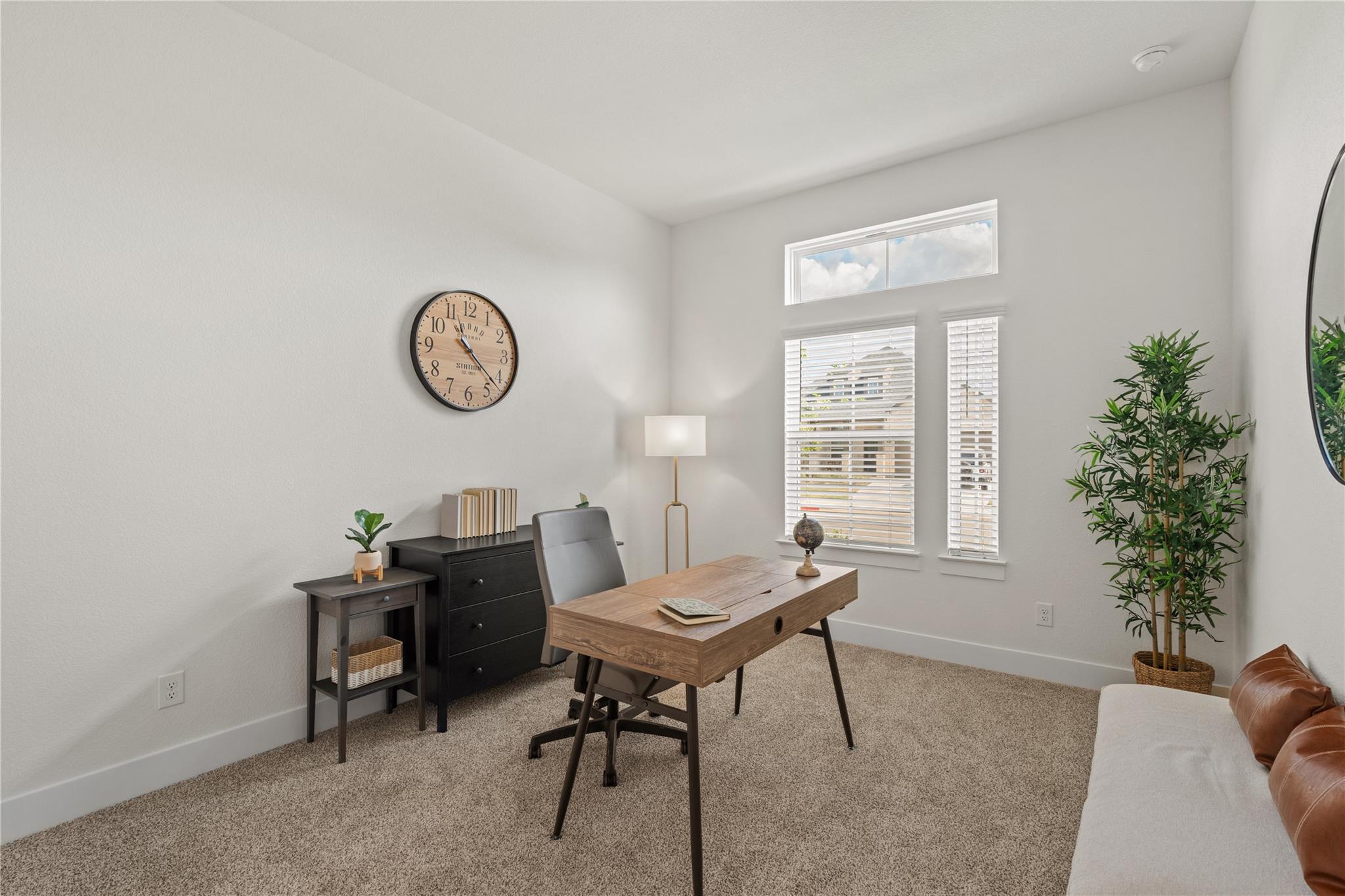 2116  Tobiano Trce, photo 5