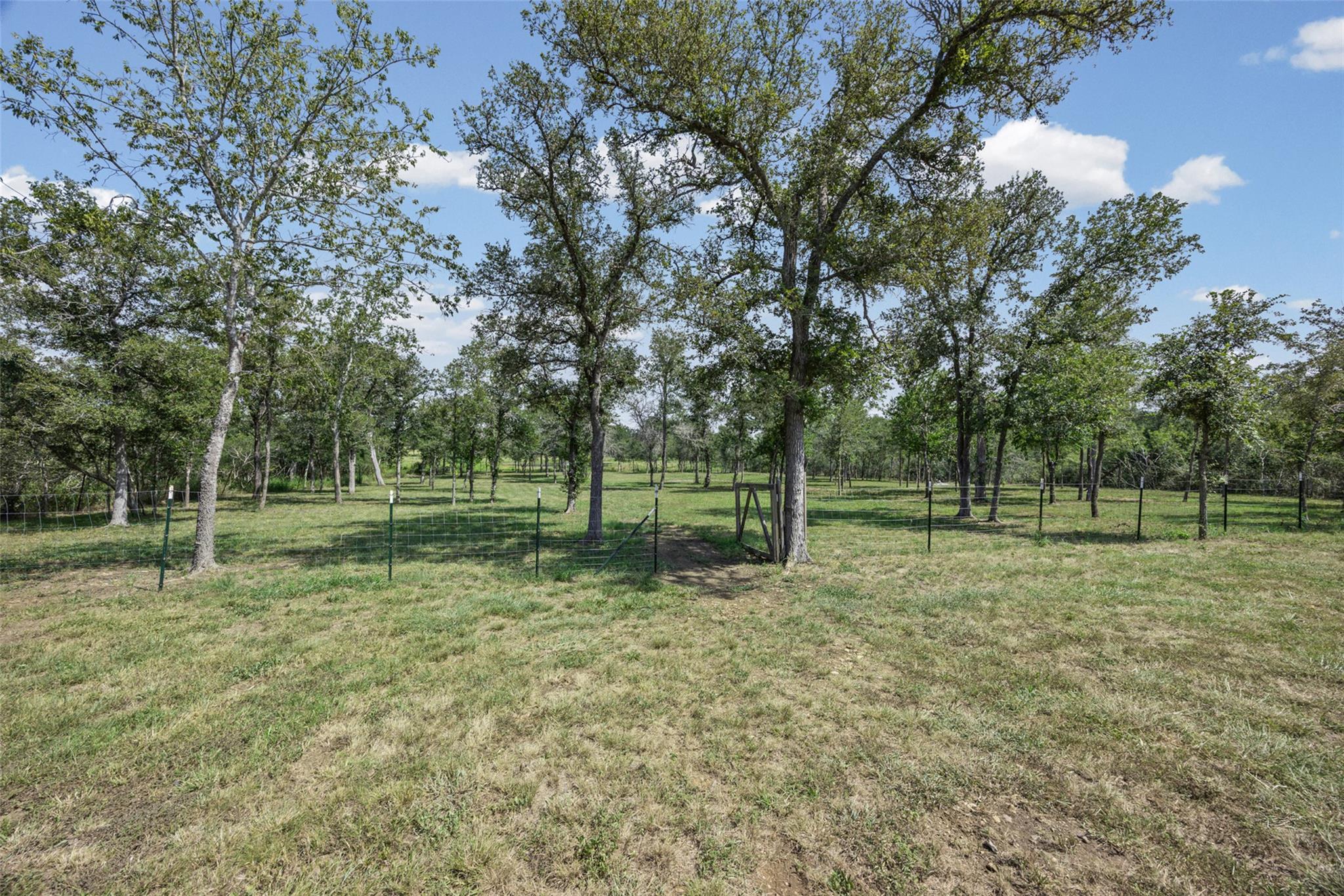 685  Thousand Oaks Dr, photo 6