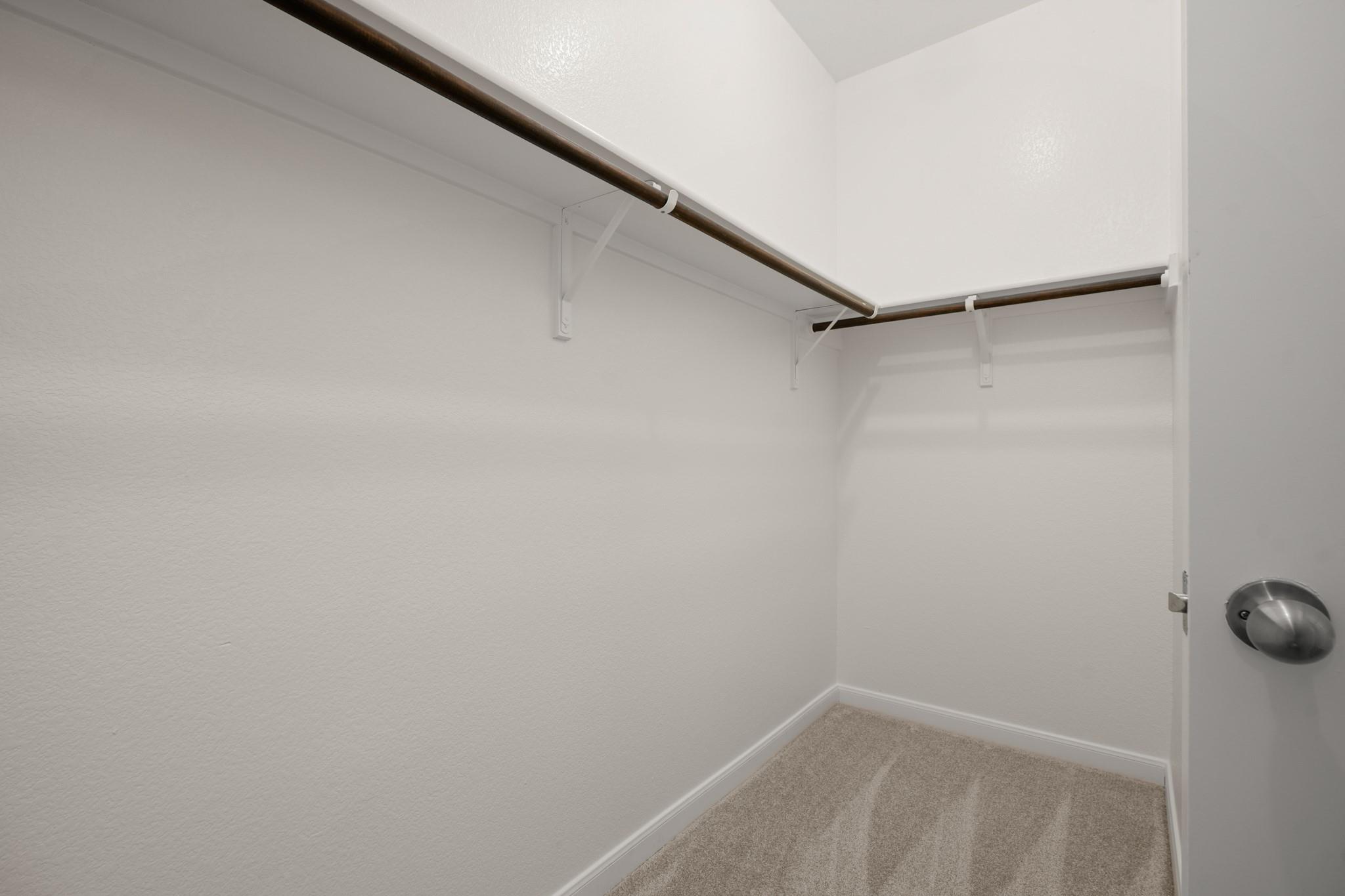 18317  Moreto Loop, photo 12