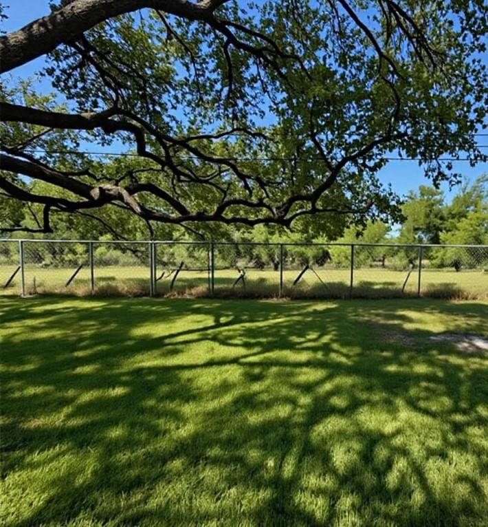 2804  Live Oak St, photo 4