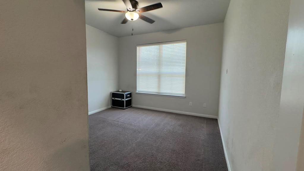 132  Greenock Cv, photo 10