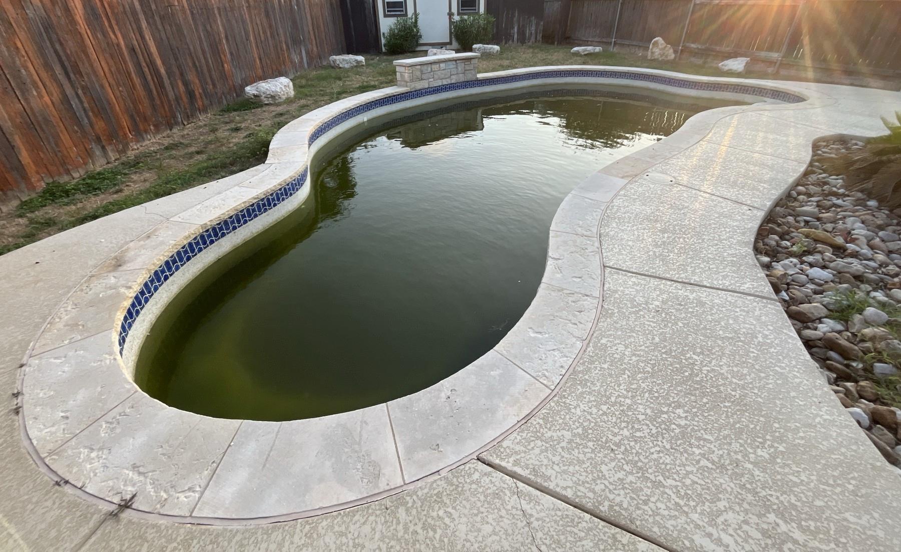 913  Water Hyacinth Loop, photo 12