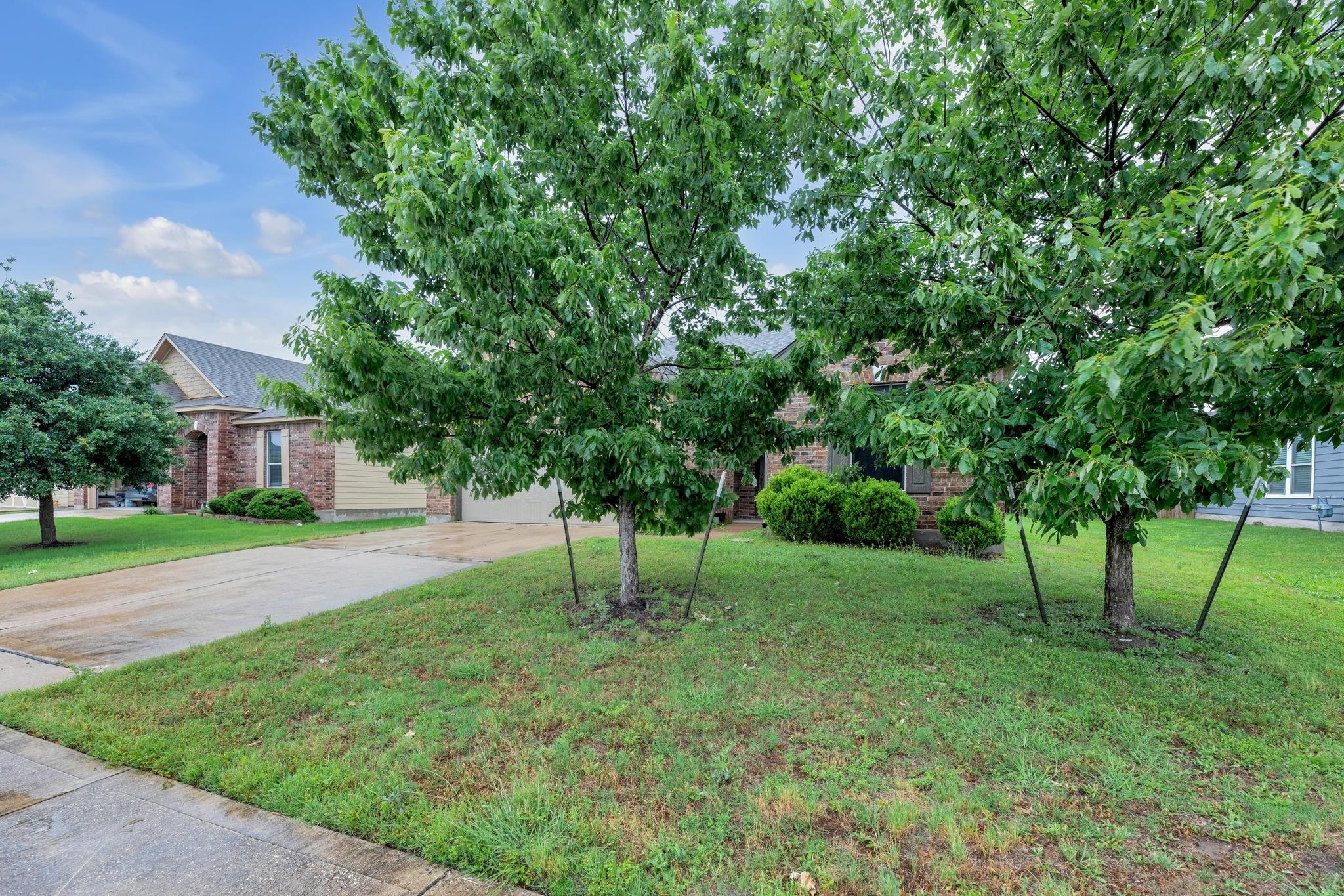 5928  Pescia St, photo 11