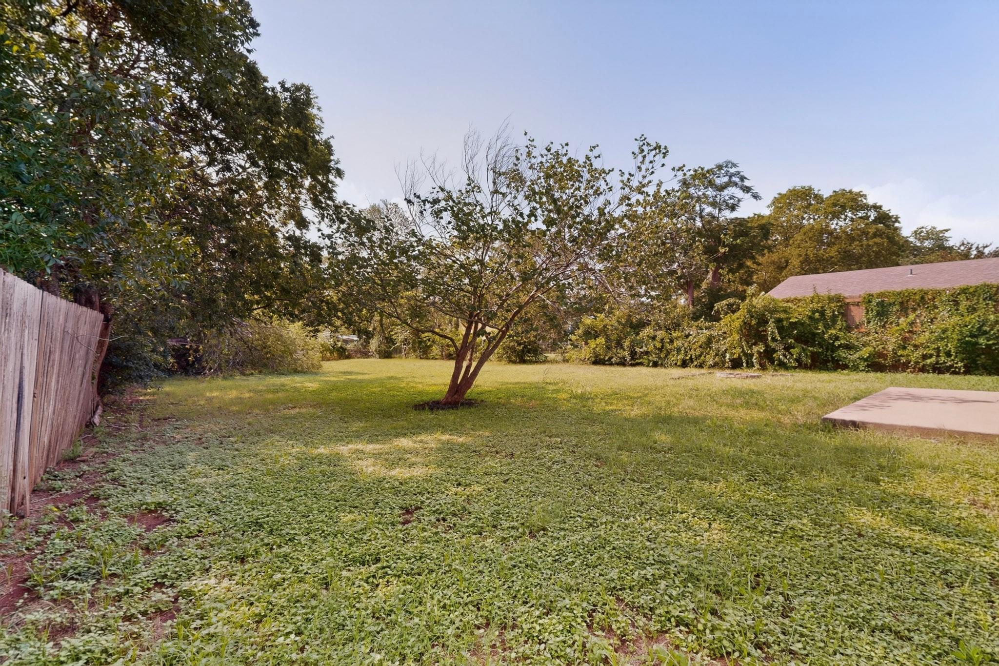 6407  Cannonleague Dr, photo 3