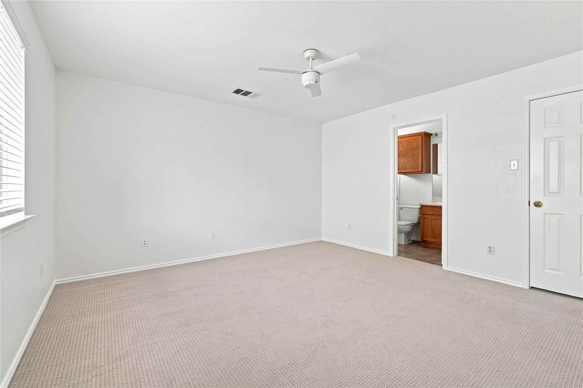 437  Haupt None, photo 9
