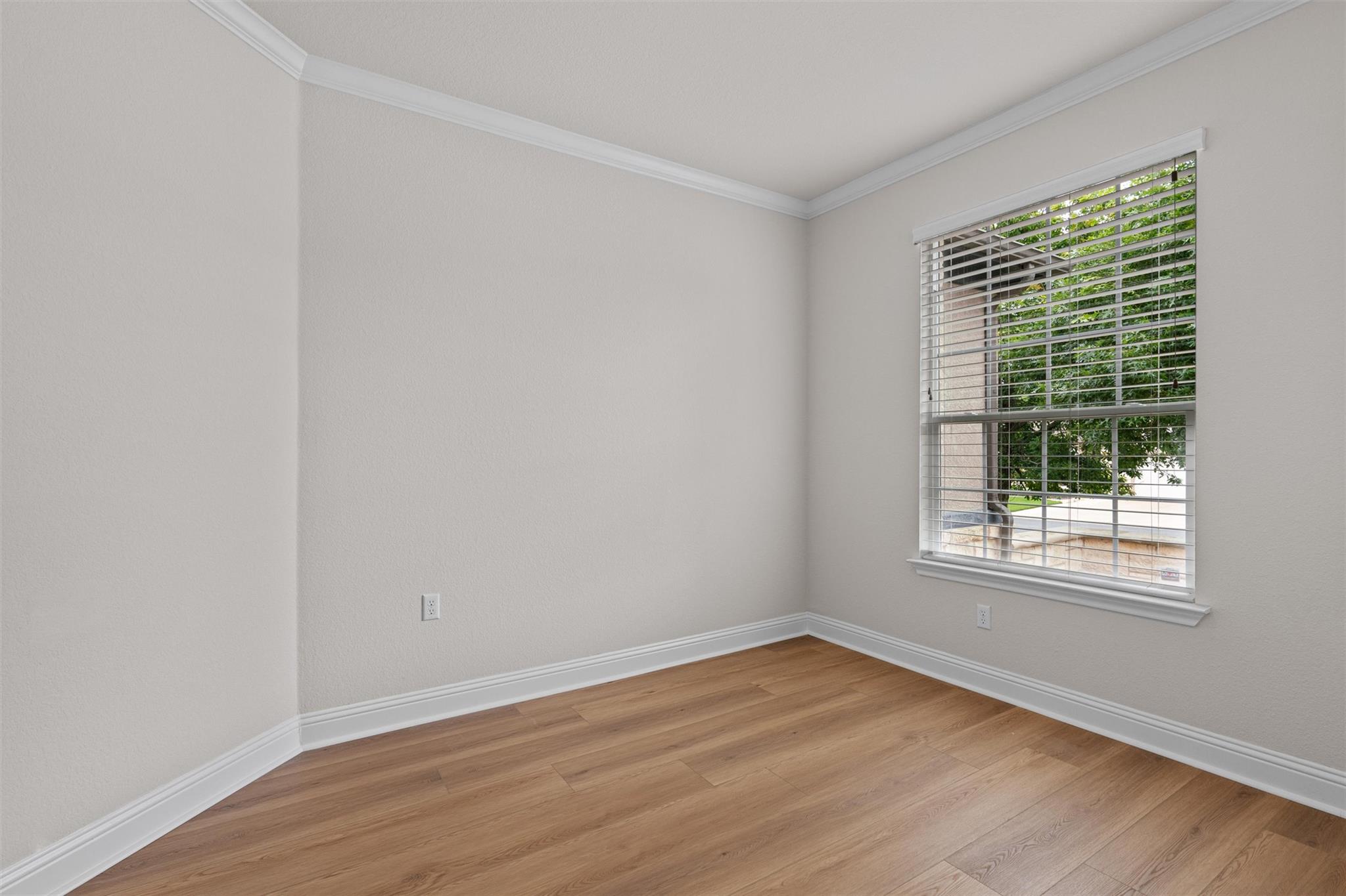 509  Davis Mountain Cir, photo 4