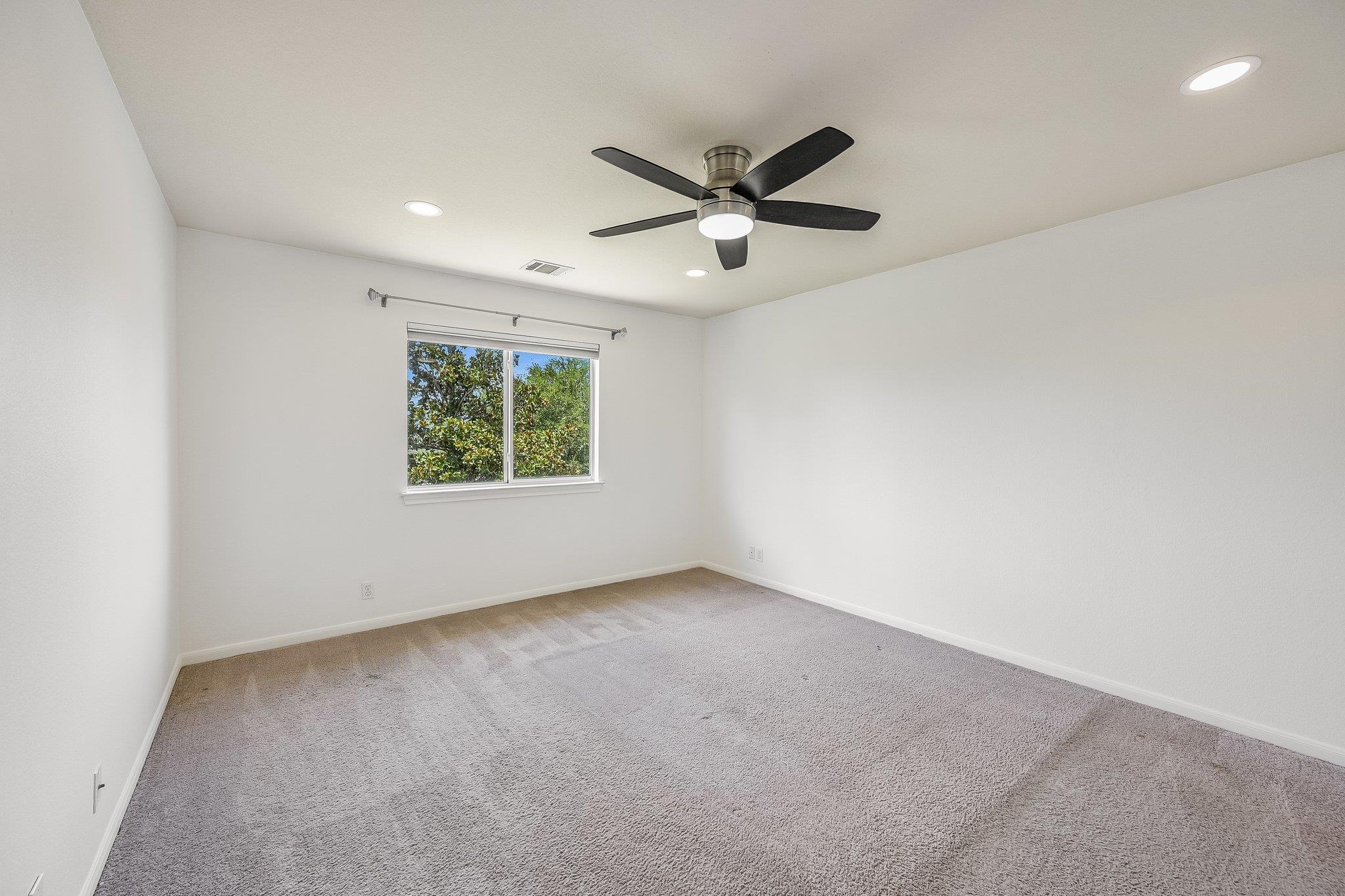 537  Roseberry St, photo 12