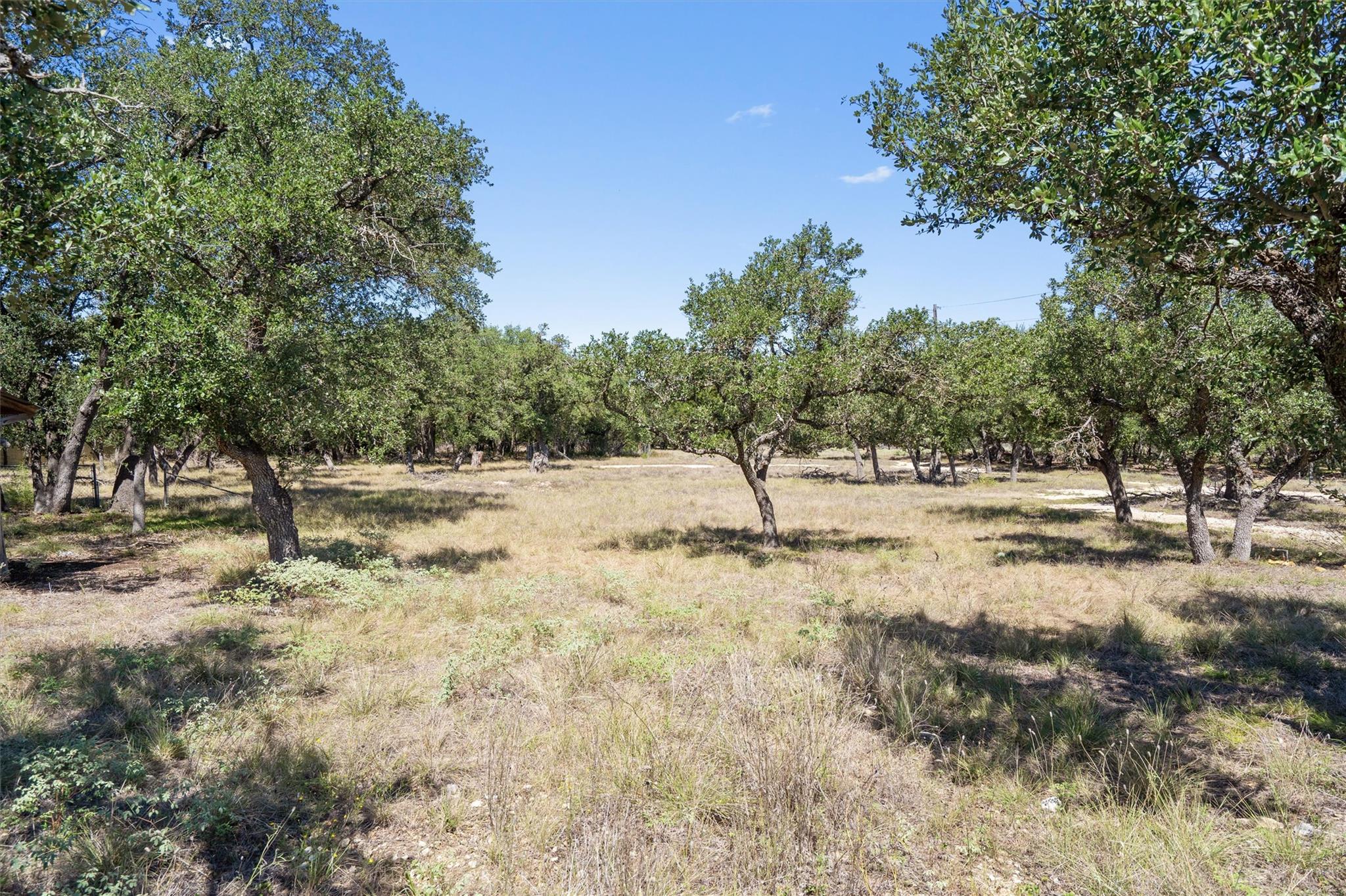 507  Lone Star Dr, photo 5